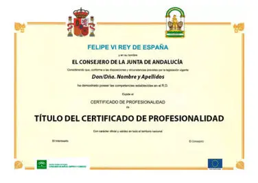 Título del Certificados de Profesionalidad